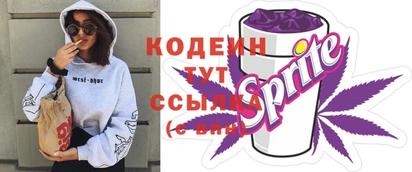 прущие крисы Заводоуковск