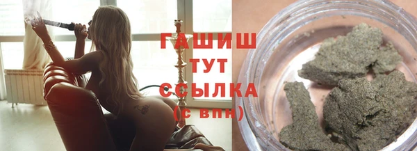 крисы Ельня