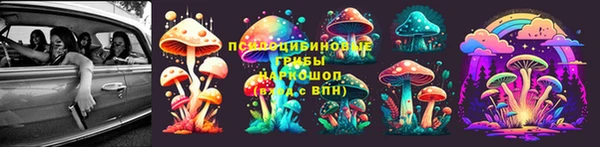 Альфа ПВП Елабуга