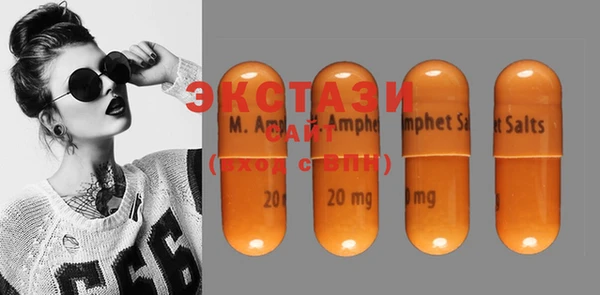 крисы Ельня